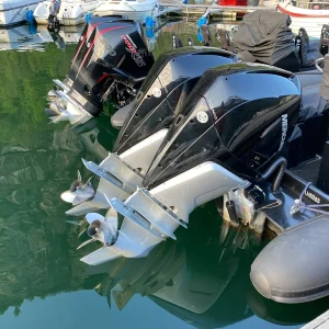 Motor Reports
